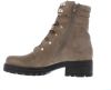 Gabor 72.786.40 Muskat Micro/Gold Veter boots online kopen